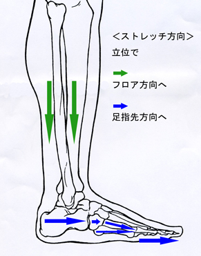 甲出し治療
足側面図